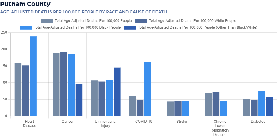 Chart: Age-adjusted deaths per 100,000 people by race and cause of death for Putnam county