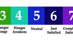 Image: Lewis Martin suggests using a hunger scale like this one to help guide the way you eat. He recommends eating something when you are at level 3 or 4, and to stop eating when you reach a level 6 or 7. Avoid the extremes. (Click image to see the full scale)