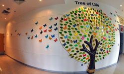 Image: "The Tree of Life" in the Clinical Center is a memorial for organ donors from UF Health Jacksonville. Leaves have adult names etched on them, butterflies have children