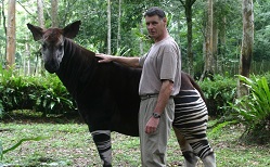 Image: John Lukas has dedicated the last 30 years to saving the okapi from extinction.